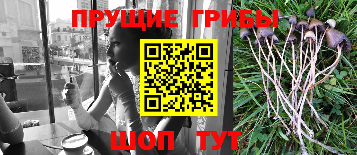 Джанкой  Псилоцибиновые грибы Psilocybe  Вход с VPN 