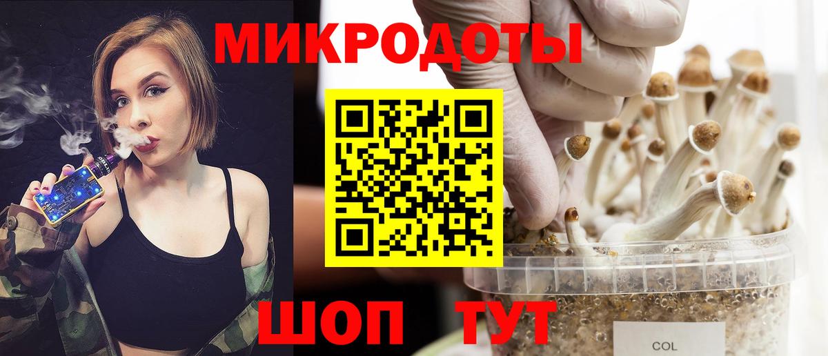 Псилоцибиновые грибы Cubensis Джанкой